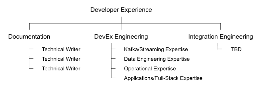 Developer Experience Team Structure